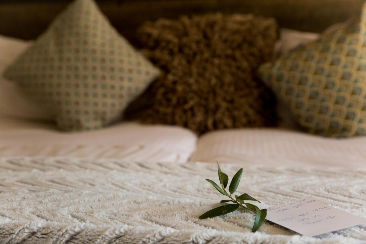 ווינדהוק Olive Grove Guesthouse מראה חיצוני תמונה
