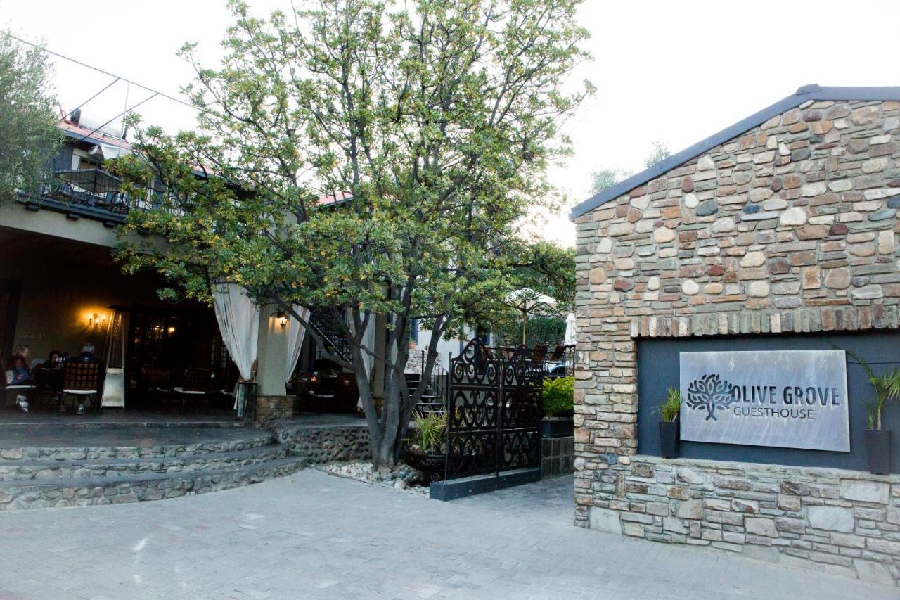 ווינדהוק Olive Grove Guesthouse מראה חיצוני תמונה