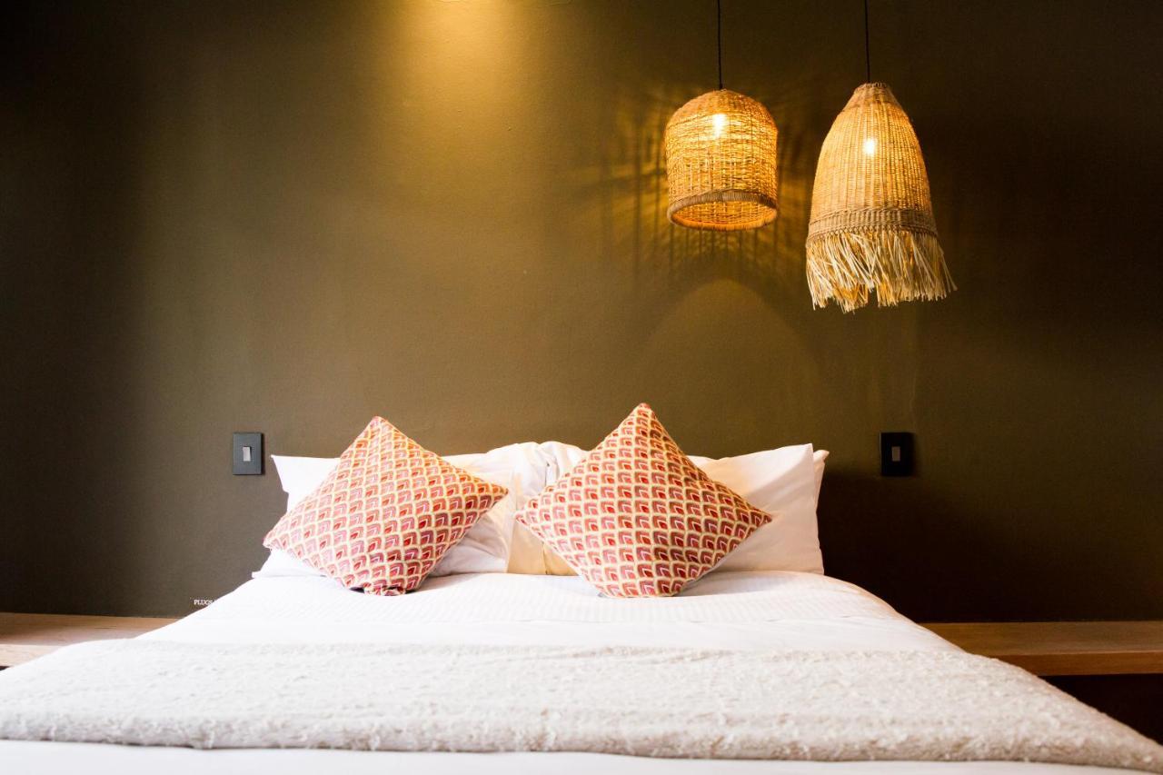 ווינדהוק Olive Grove Guesthouse מראה חיצוני תמונה